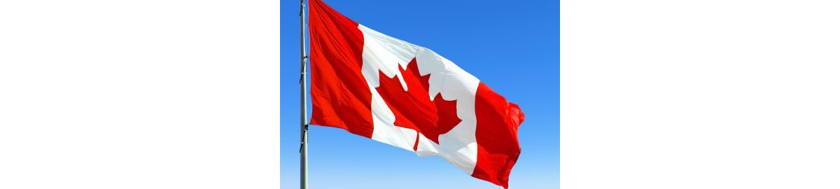 A Canadian flag against a blue sky beside text for discovering top promotional items made in Canada.