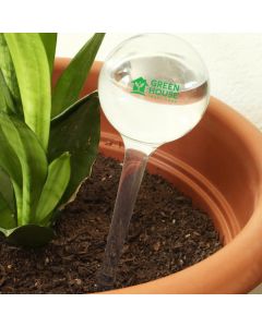 Evergreen Self-Watering Globe