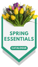 View our Spring Essentials lookbook – explore Earth-inspired promotional ideas with this catalogue, including many eco-friendly options!